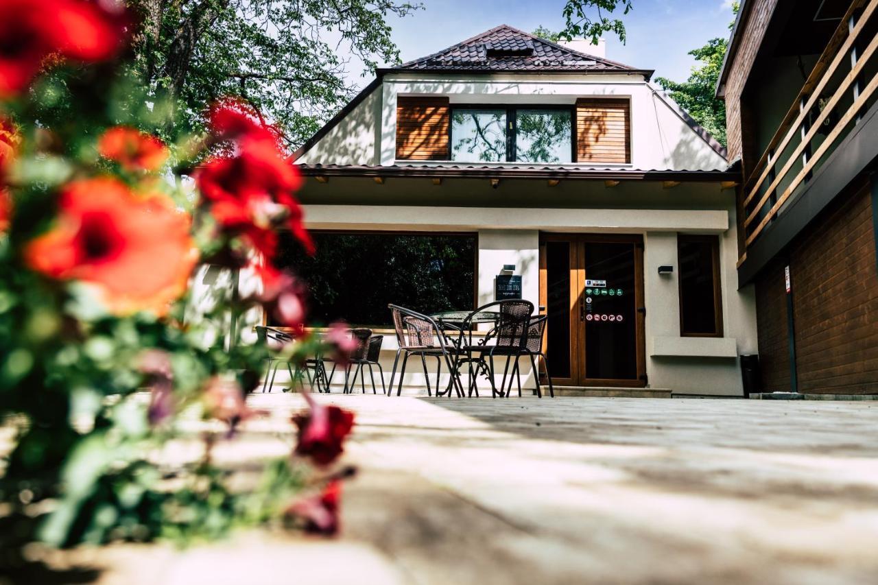 Mer Guest House B&B Gasthof Brașov